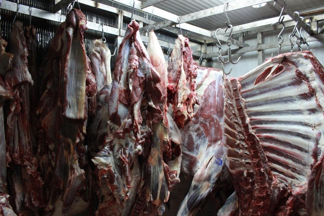 Kurban eti nasıl saklamalı