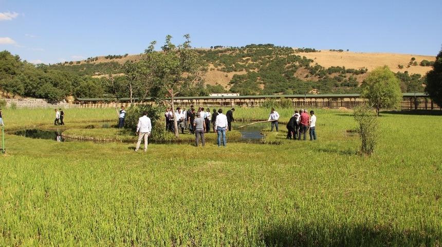 Y&uuml;zenadalara yoğun ilgi