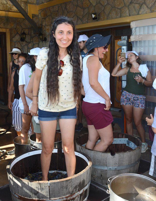 Dat&ccedil;a da 3 bin yıllık  &uuml;z&uuml;m ezme  geleneği yaşatılıyor 2