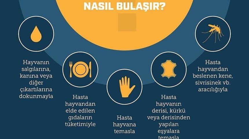Hastaneden &rsquo;Zoonotik&rsquo; uyarısı
