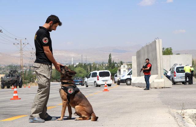 Hassas burun 'Kara', şark hizmeti için Van'da 