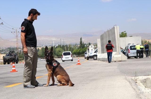 Hassas burun 'Kara', şark hizmeti için Van'da 