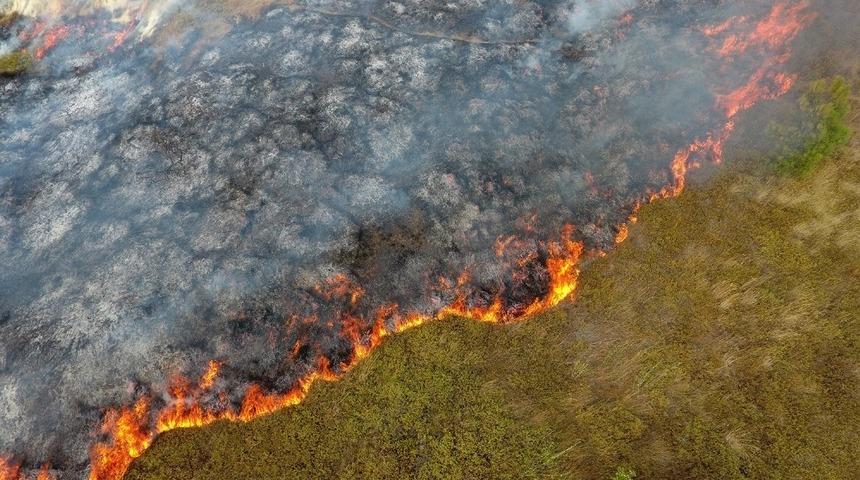 Sinop&rsquo;ta ot yangını