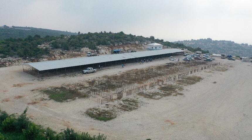 Erdemli&rsquo;de kurban pazarları bayrama hazır