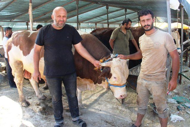 İzmirliler kurban almak için Arife Gününü bekliyor