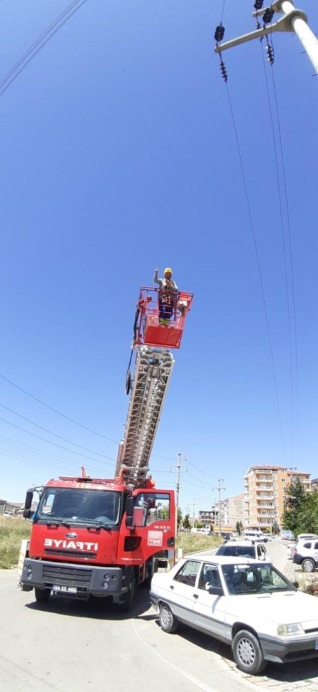 ÇEDAŞ ekipleri, enerji hattına takılan güvercini kurtardı