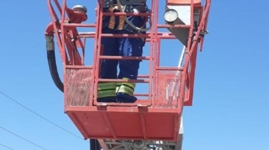 &Ccedil;EDAŞ ekipleri, enerji hattına takılan g&uuml;vercini kurtardı