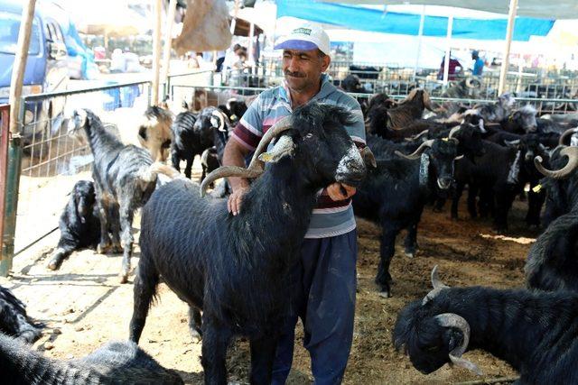 Toroslar’da bayram hazırlıkları tamamlandı