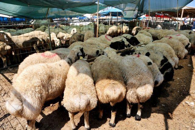 Toroslar’da bayram hazırlıkları tamamlandı