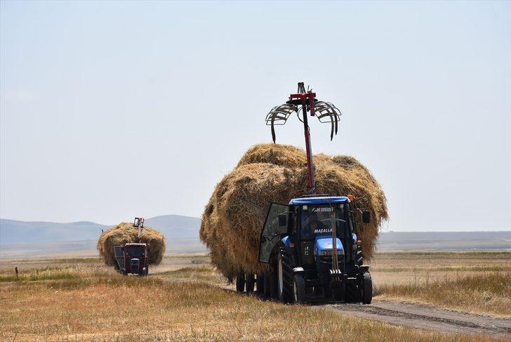 Çiftçilerin sıcak havada hasat mesaisi G1