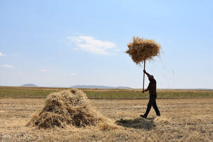 Çiftçilerin sıcak havada hasat mesaisi G2