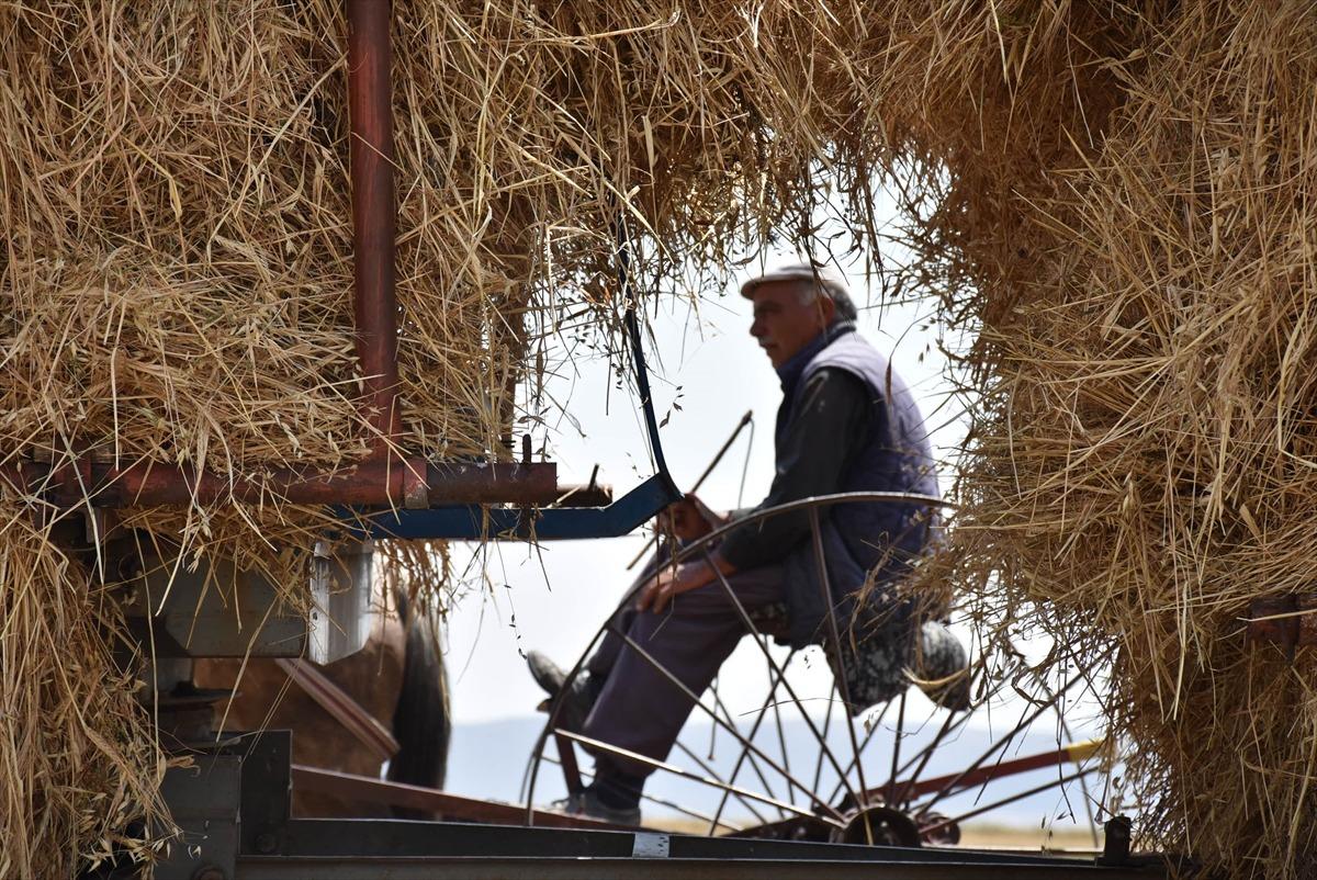 &Ccedil;ift&ccedil;ilerin sıcak havada hasat mesaisi