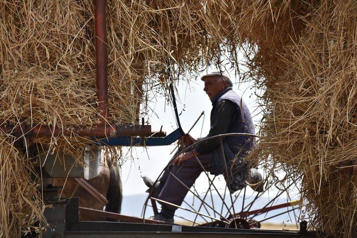 Çiftçilerin sıcak havada hasat mesaisi G4