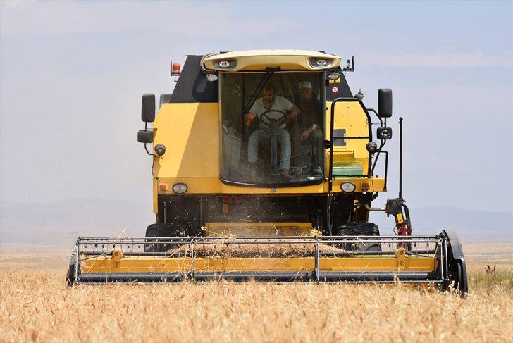 Çiftçilerin sıcak havada hasat mesaisi G5