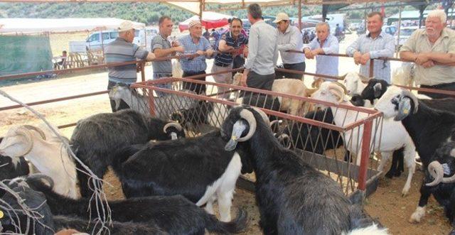 Bucak’ta Kurban bayramı hazırlıkları