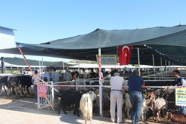 Seydişehir Belediyesi Kurban Bayramına hazır