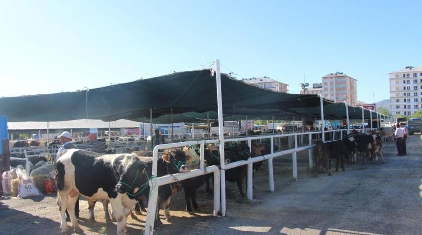 Seydişehir Belediyesi Kurban Bayramına hazır