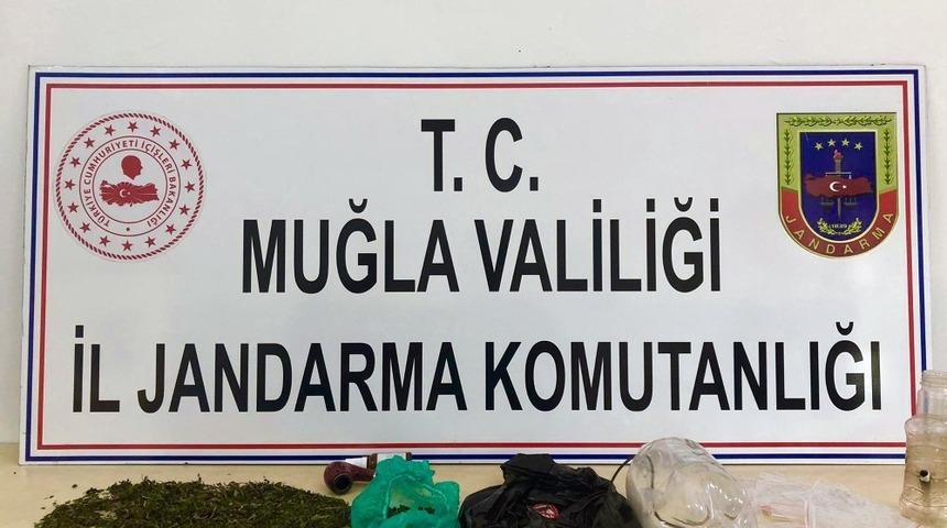 Jandarmadan uyuşturucu partisine baskın