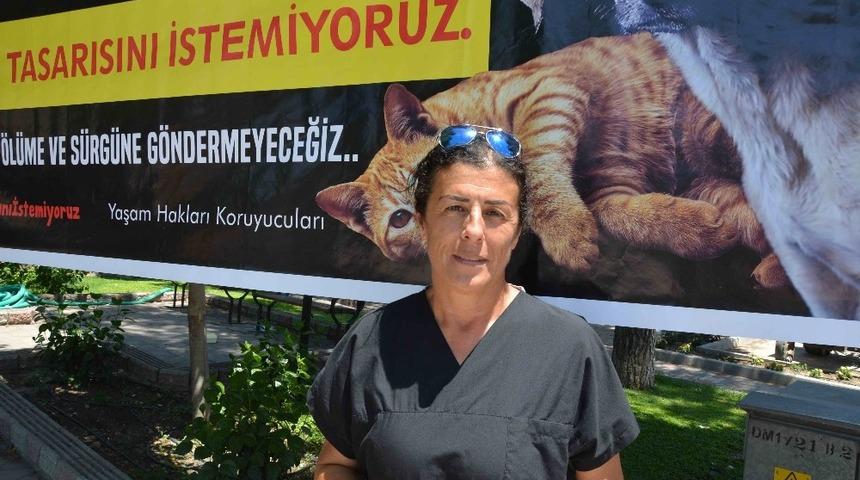 HAYDOS Başkanı Dağdelen uyardı; &ldquo;600&rsquo;e yakın k&ouml;pek sokakta kalır&rdquo;