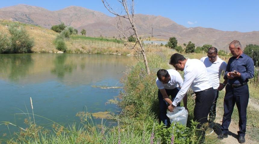 Hakkari&rsquo;deki 29 g&ouml;lete yavru balık bırakıldı