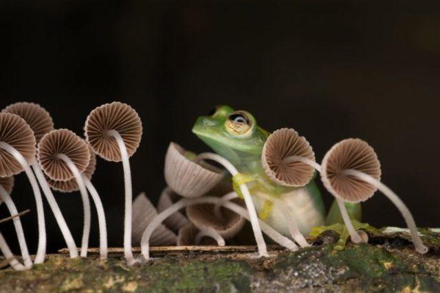 İnanılmaz! Hiç bu kadar yakından görmediniz 7