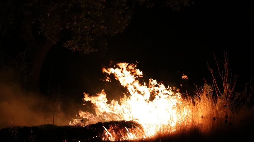 Havai fişekler yangına sebep oldu