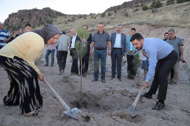 Nevşehir&rsquo;de her yeni doğan ve &ouml;len kişi i&ccedil;in fidan dikilecek 2
