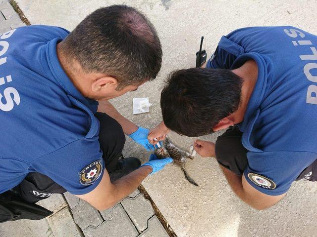 Polis memurlarından alkışlanacak hareket