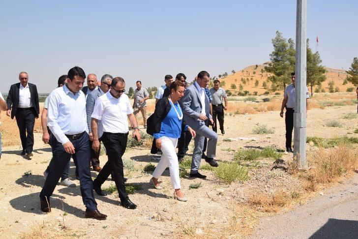 TİGEM Genel Müdürü Işıkgece, Ceylanpınar’da G5