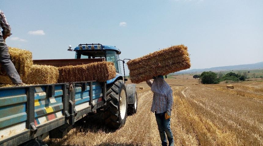 Balya iş&ccedil;ilerinin bunaltıcı sıcakta zorlu sınavı