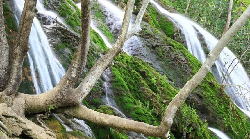 160&rsquo;dan fazla kelebek t&uuml;r&uuml;ne ev sahipliği yapıyor
