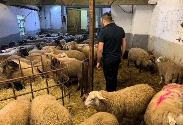 Almanya'da yaşayan Müslümanlar kurban bayramına hazır