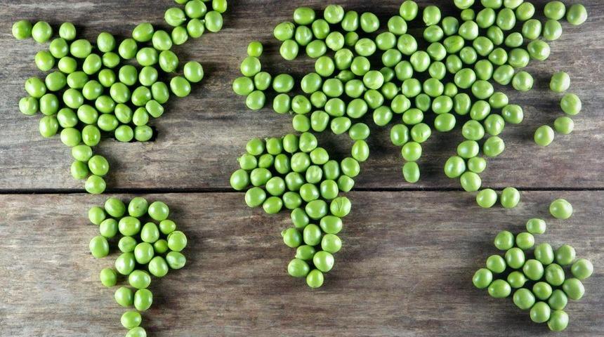 Dünya Bir Anda Vejetaryen Olsa Ne Olur?