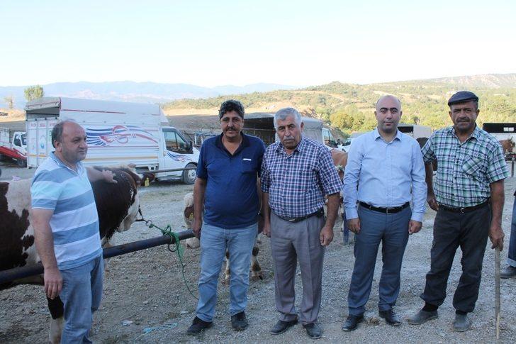 Tosya’da son kurbanlıklar alıcılarını bekliyor G2