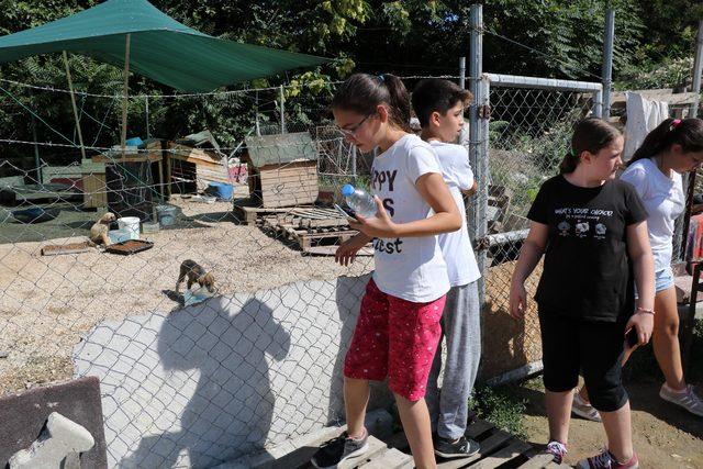 'Bayram harçlıklarıyla sokak hayvanlarına mama hediye edin'