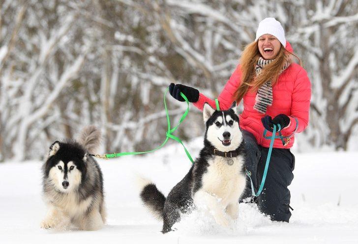 Avustralya’da 29. köpek kızak yarışları G4