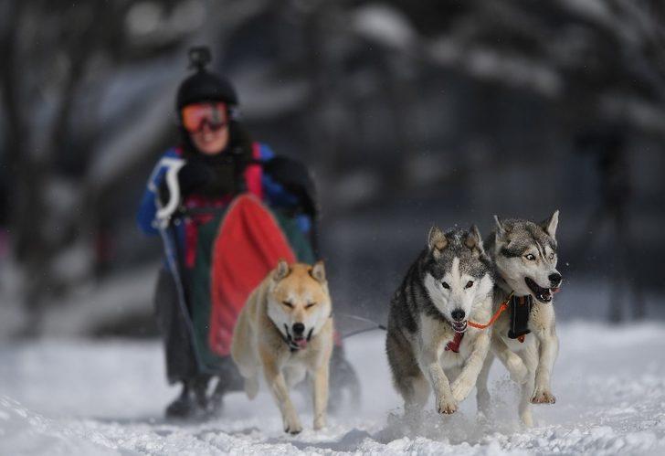 Avustralya’da 29. köpek kızak yarışları G5