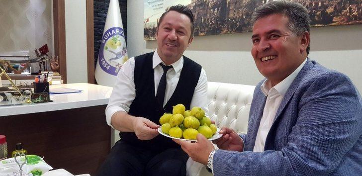 Ünlü Sanatçı Baha’ya Buharkent’te incir dopingi G3