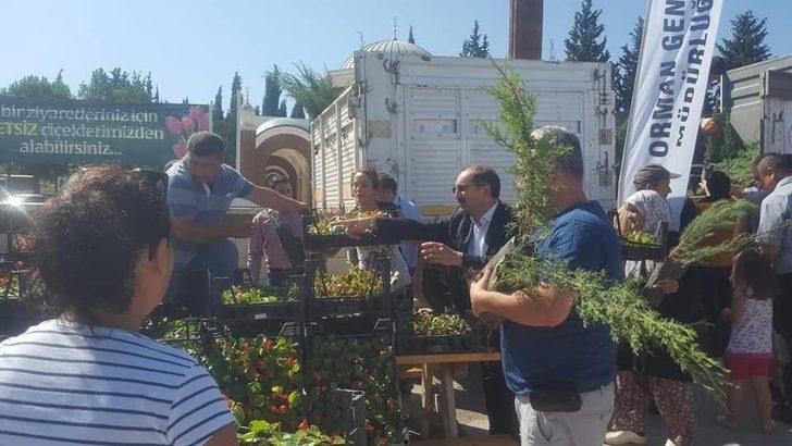 Mezarlık ziyaretçilerine ücretsiz fidan ve çiçek G1