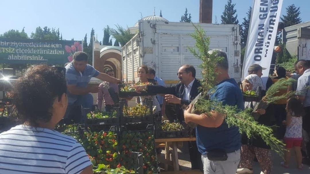 Mezarlık ziyaret&ccedil;ilerine &uuml;cretsiz fidan ve &ccedil;i&ccedil;ek