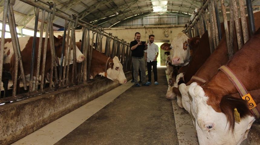 AB Bilginin desteklediği hayvancılık tesislerine ziyaret