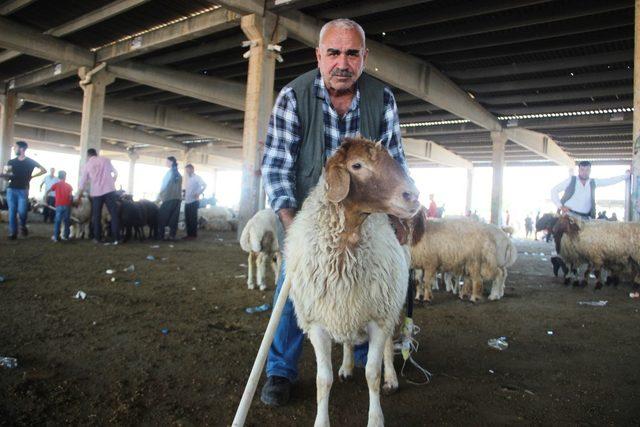 Kurban alacaklar Arife gününde yoğunluk oluşturdu