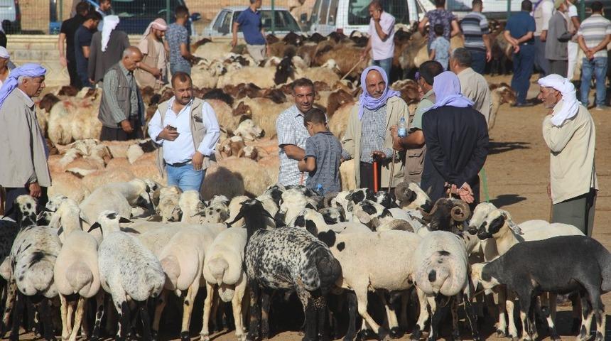 Kurban alacaklar Arife g&uuml;n&uuml;nde yoğunluk oluşturdu
