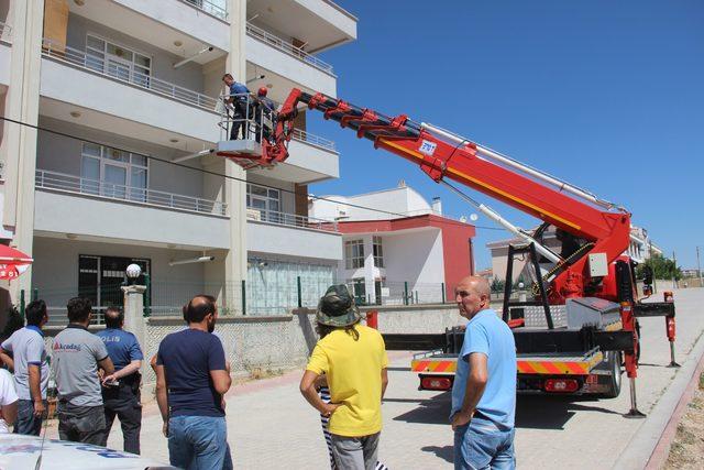 Mahsur kalan kediyi itfaiye kurtardı