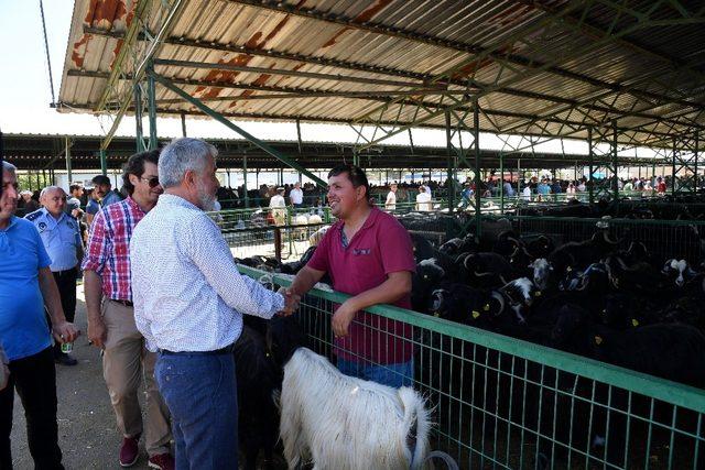 Başkan Başdeğirmen, Hayvan Pazarında incelemelerde bulundu