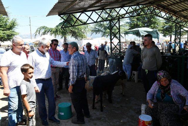 Başkan Başdeğirmen, Hayvan Pazarında incelemelerde bulundu