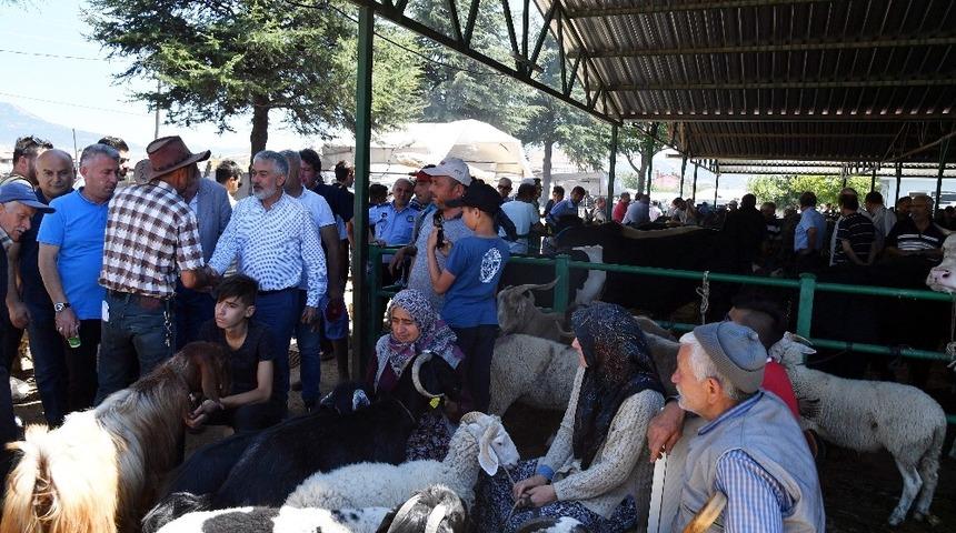 Başkan Başdeğirmen, Hayvan Pazarında incelemelerde bulundu