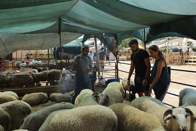 Kuşadası&rsquo;nda mezarlıklar ziyaret&ccedil;i akınına uğradı 3