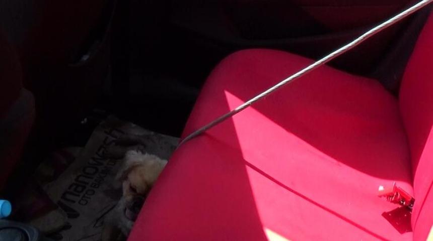 Vicdansızlık! Arabanın içinde bırakıp alışverişe gittiler