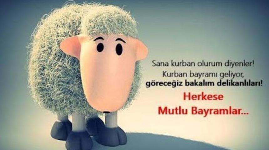 Komik bayram mesajları: Kurban Bayramını yakınlarınızı güldürerek kutlayın 